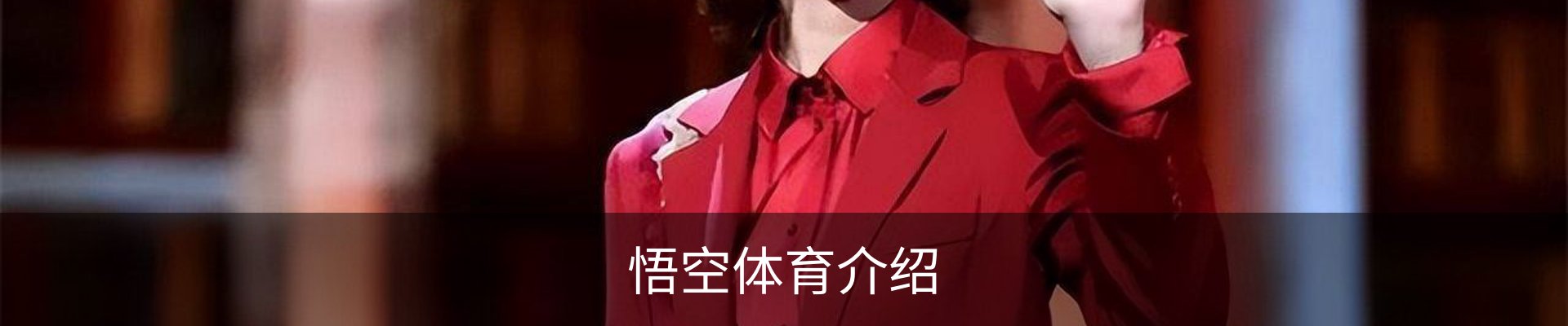 悟空体育介绍